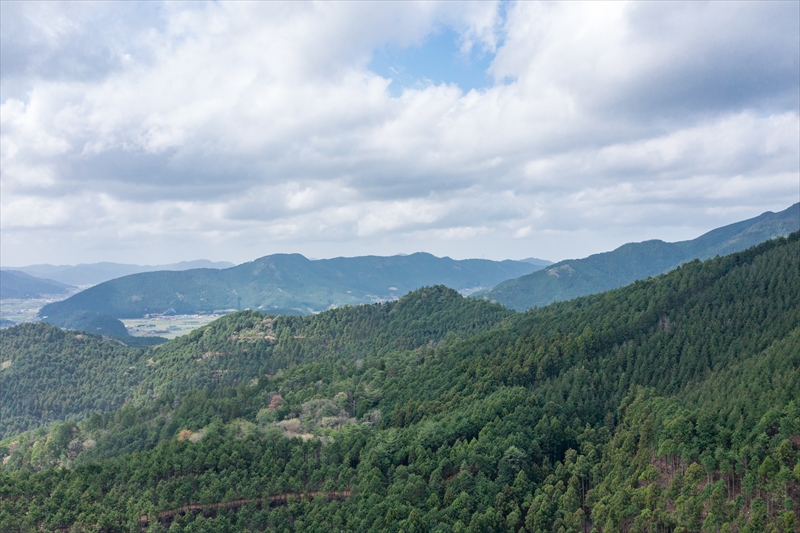 山林所有者様へ